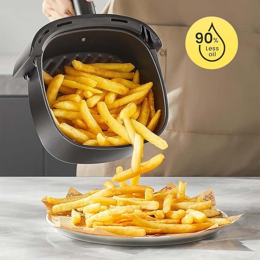 Friteuses grands modèles  ironix 