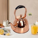 Théière en inox avec passoire Bronze 