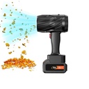 المنفاخ العجيب