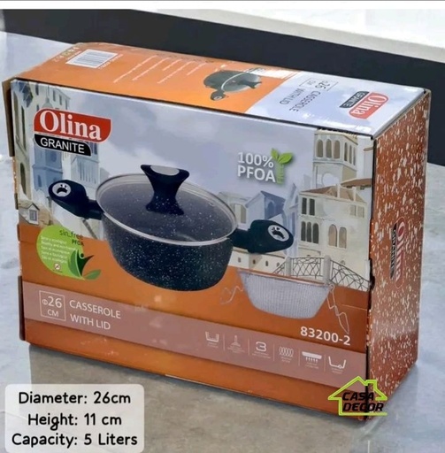 Friteuse gaz manuel 
